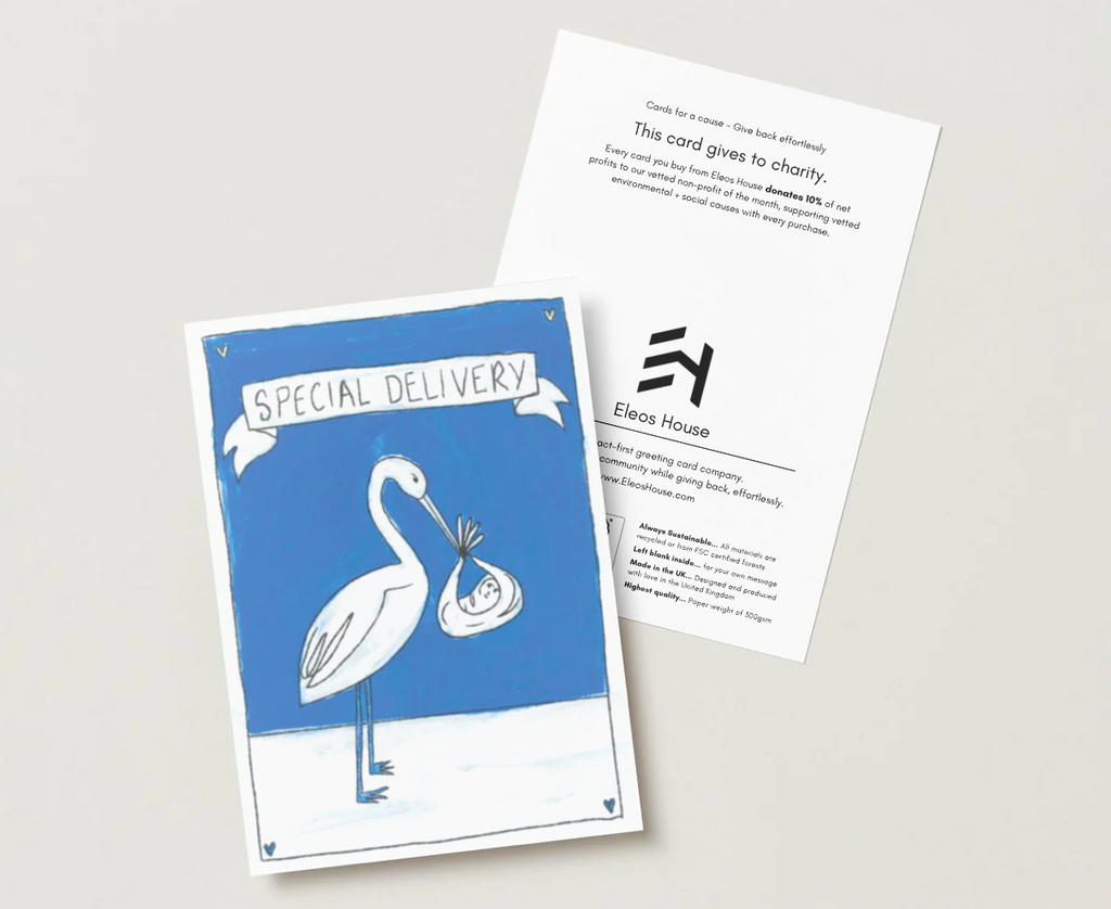 Special Delivery (Boy) Greeting Card