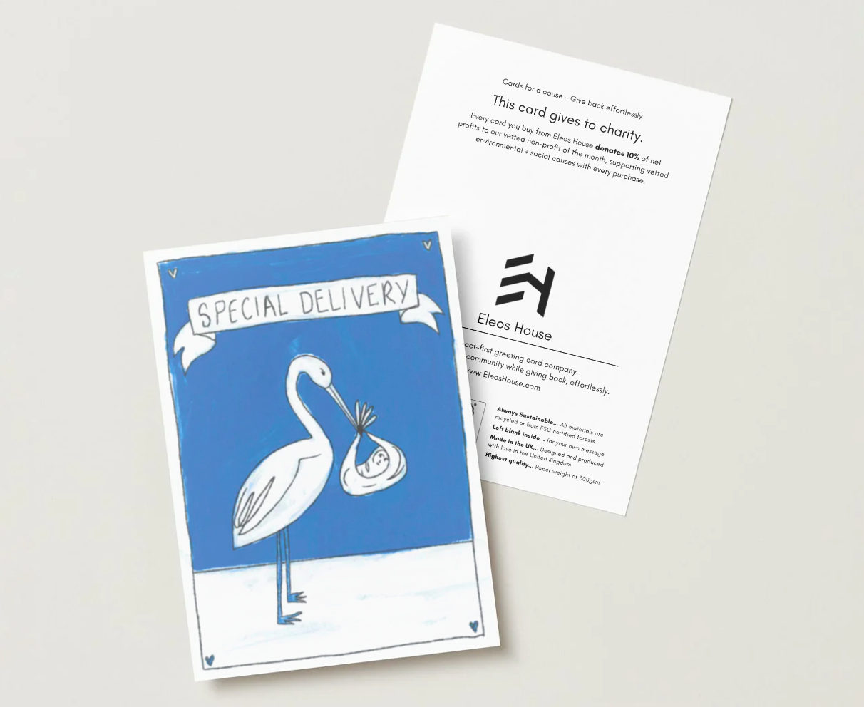 Special Delivery (Boy) Greeting Card