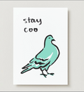 'Stay Coo' Pigeon Card