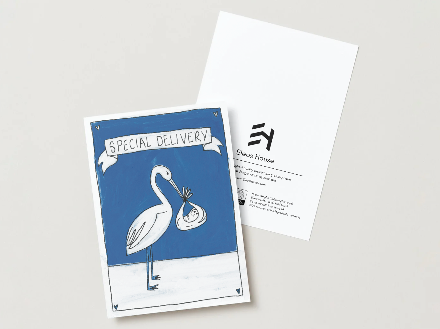 Special Delivery (Boy) Greeting Card